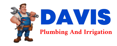 Trusted plumber in HITCHCOCK